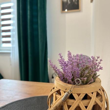 Apartament Zielony Kollataja Tomaszow Mazowiecki Luaran gambar